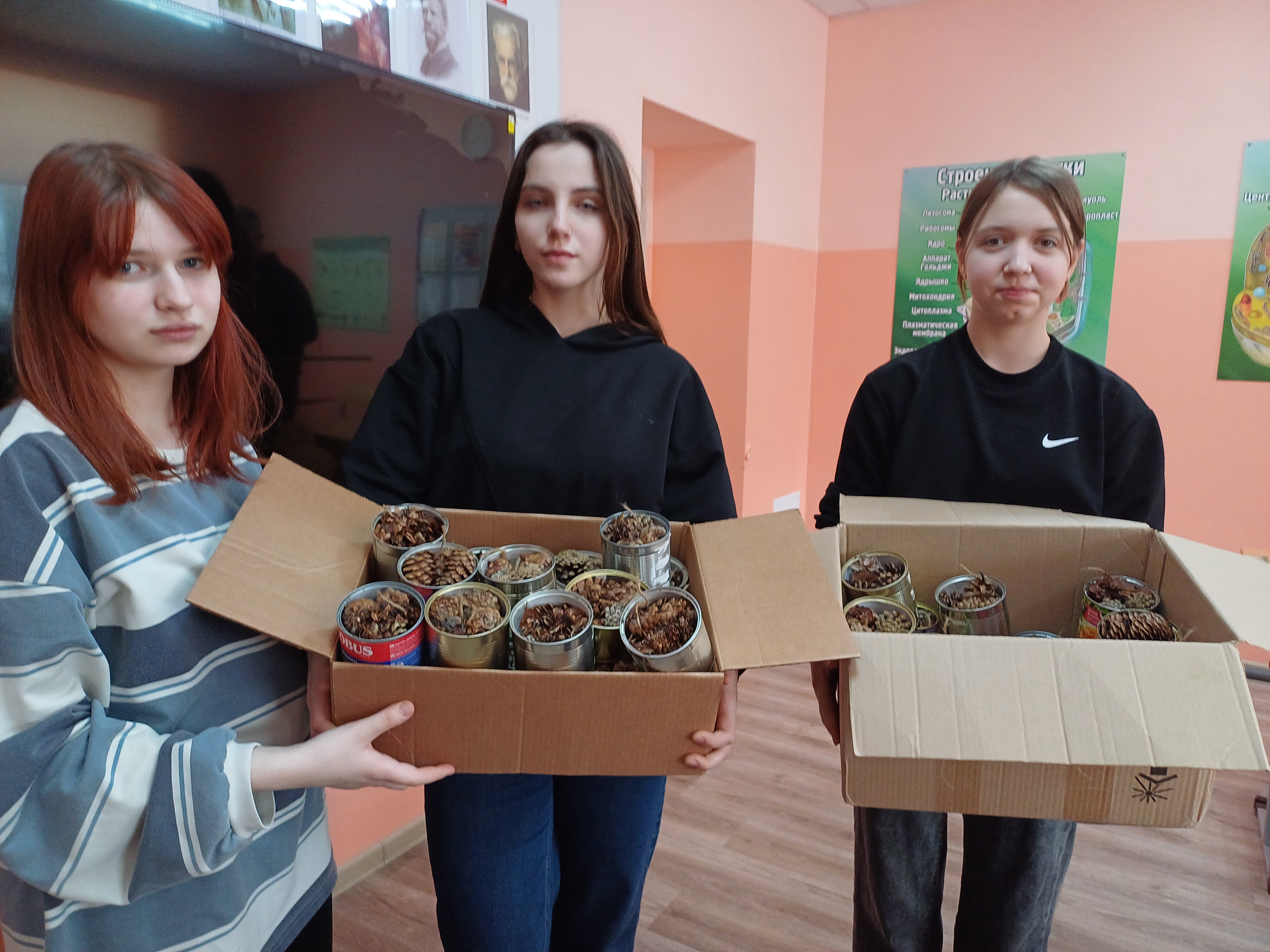 Помощь бойцам СВО.